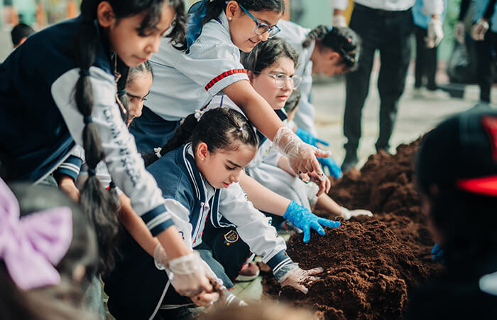 University Choices: Preparing for the Future at UK Schools